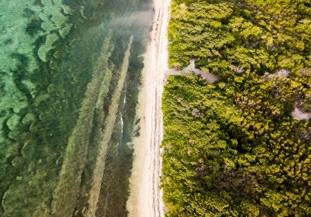 Drone shot of ocean and forested land on the Cayman Islands